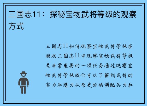 三国志11：探秘宝物武将等级的观察方式