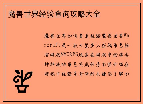 魔兽世界经验查询攻略大全